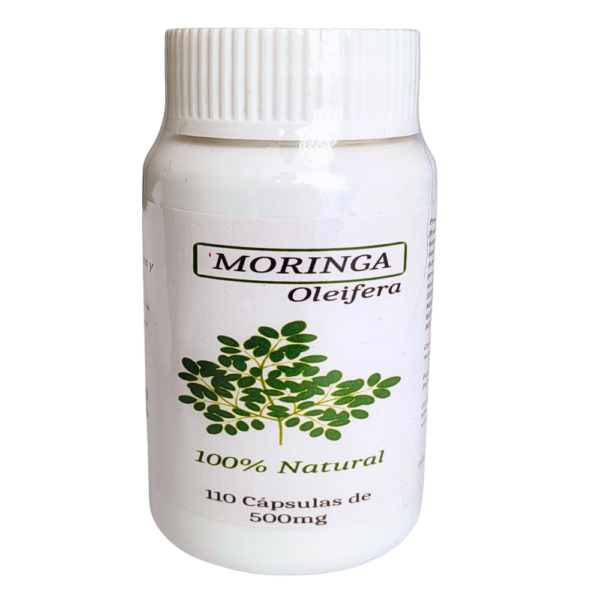 3 Frascos de 110 cápsulas de polvo de hojas de Moringa oleifera con envío incluido